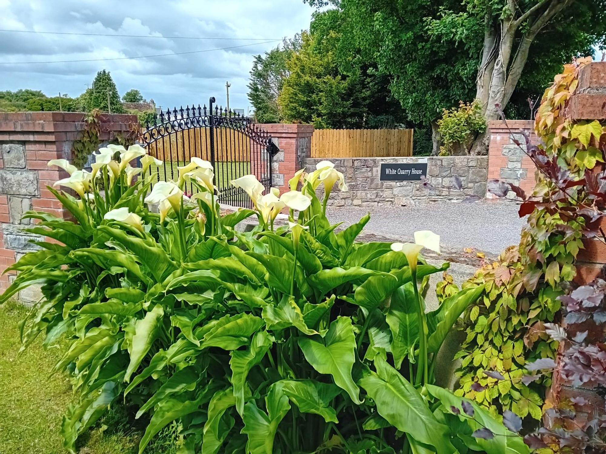 Affittacamere White Quarry Hse Quarry Road Navan Esterno foto